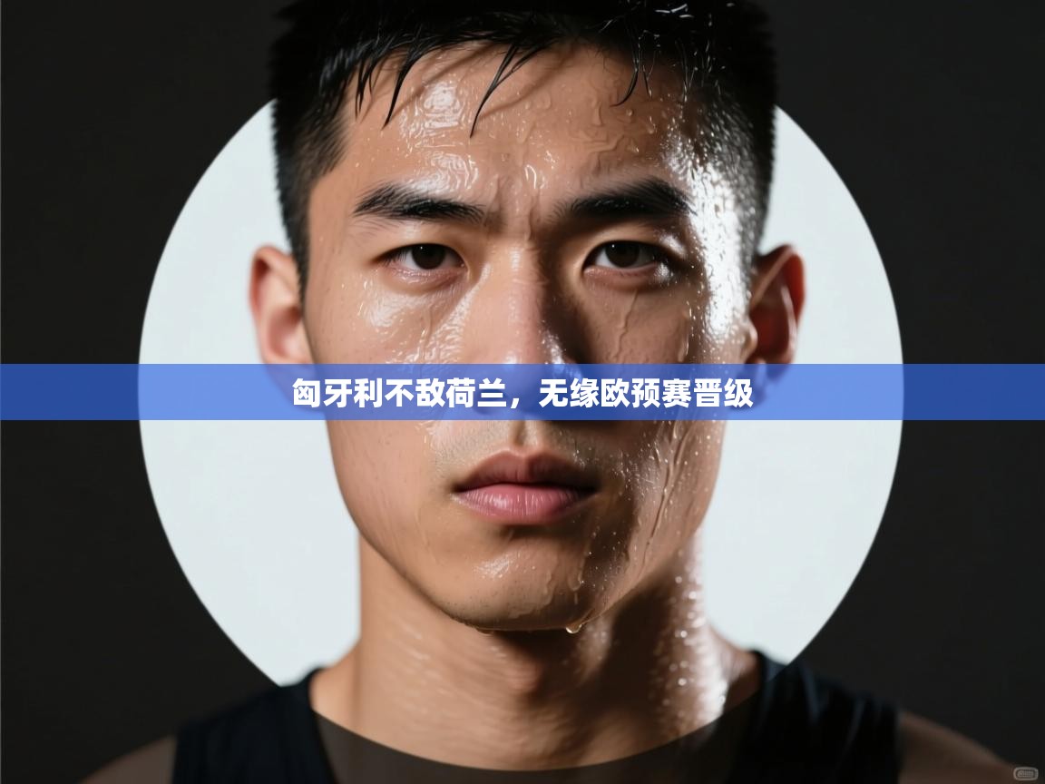 匈牙利不敌荷兰，无缘欧预赛晋级  第2张