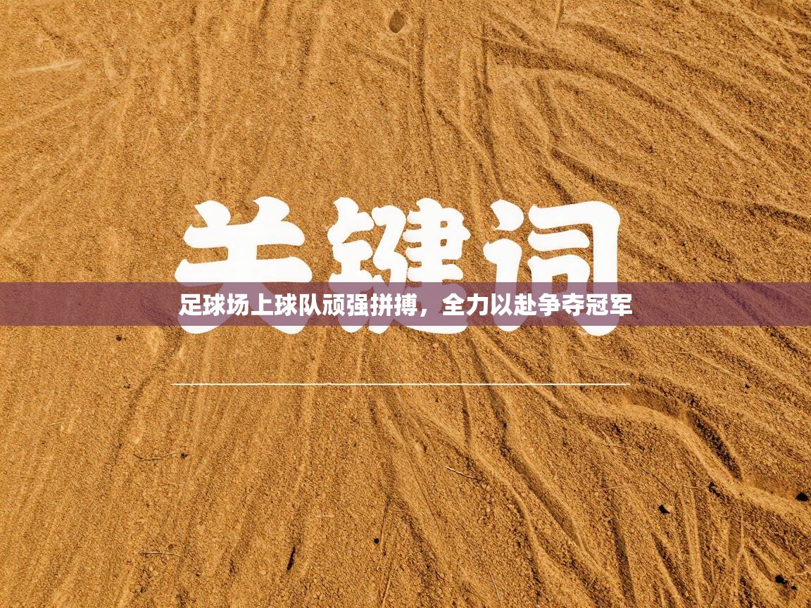 足球场上球队顽强拼搏,全力以赴争夺冠军 第1张