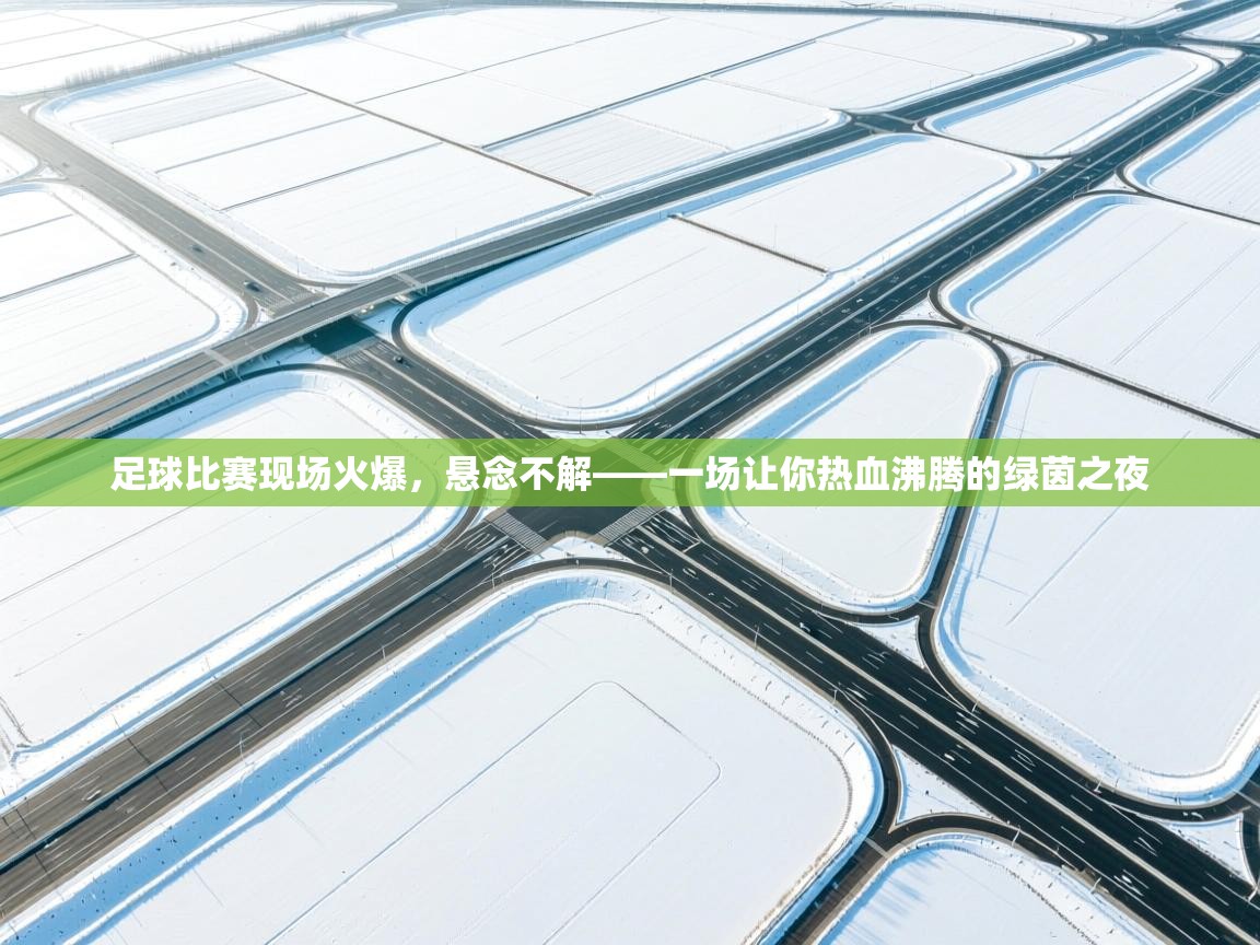 足球比赛现场火爆，悬念不解——一场让你热血沸腾的绿茵之夜  第1张